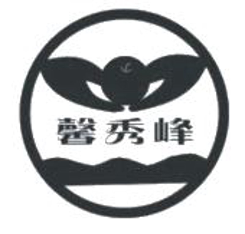 随州艺术团的风采与魅力